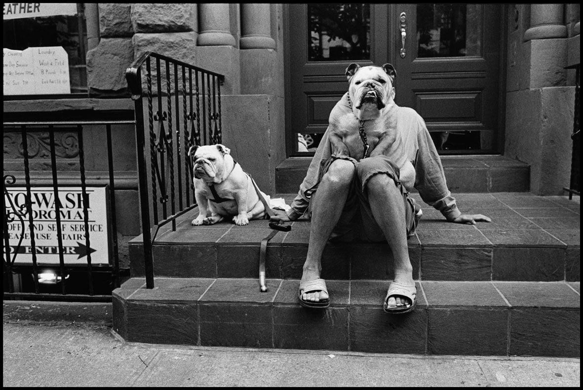 Elliott Erwitt - I cani sono come gli umani solo con più capelli